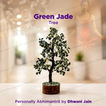 Green Jade Tree : Promotes Wealth Attraction & Money Growth