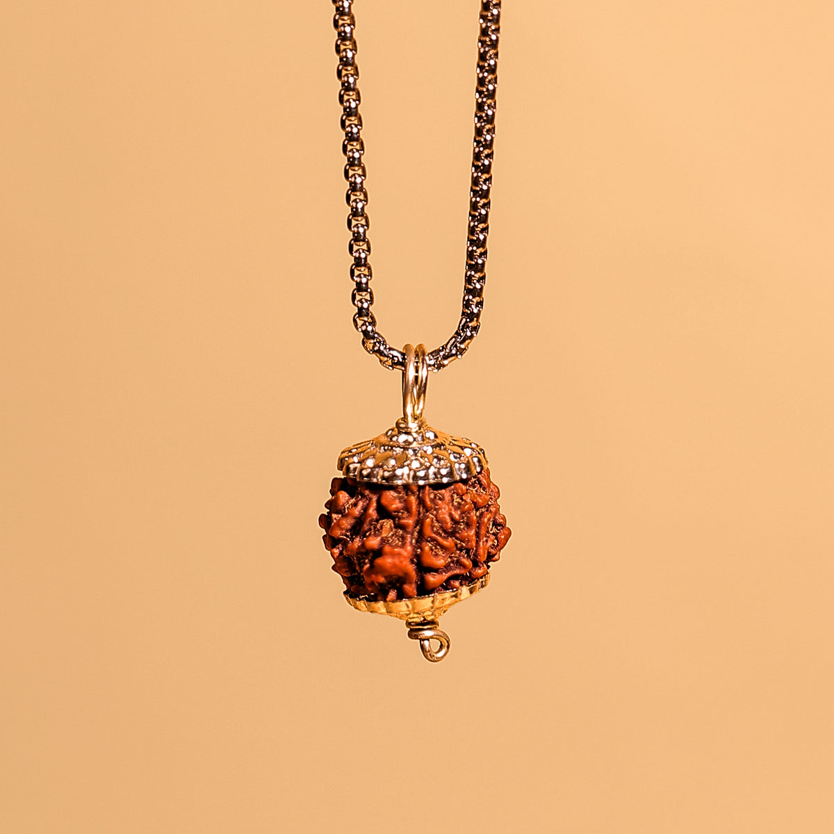 Nepali 6 Mukhi Rudraksha ( Six Faced) - Abhimantrit & Certified