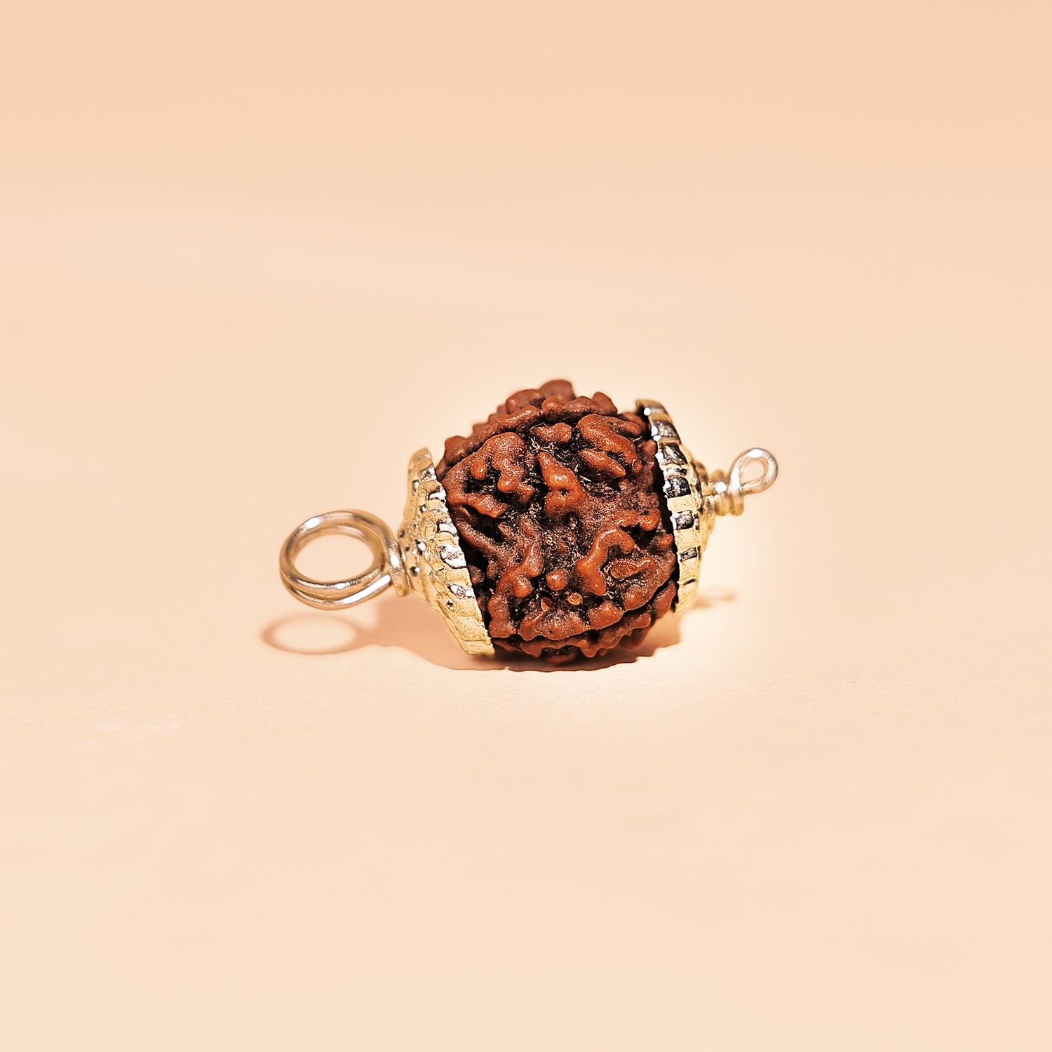 Nepali 4 Mukhi Rudraksha (Four Faced) - Abhimantrit & Certified
