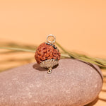 Nepali 7 Mukhi Rudraksha ( Seven Faced) - Abhimantrit & Certified