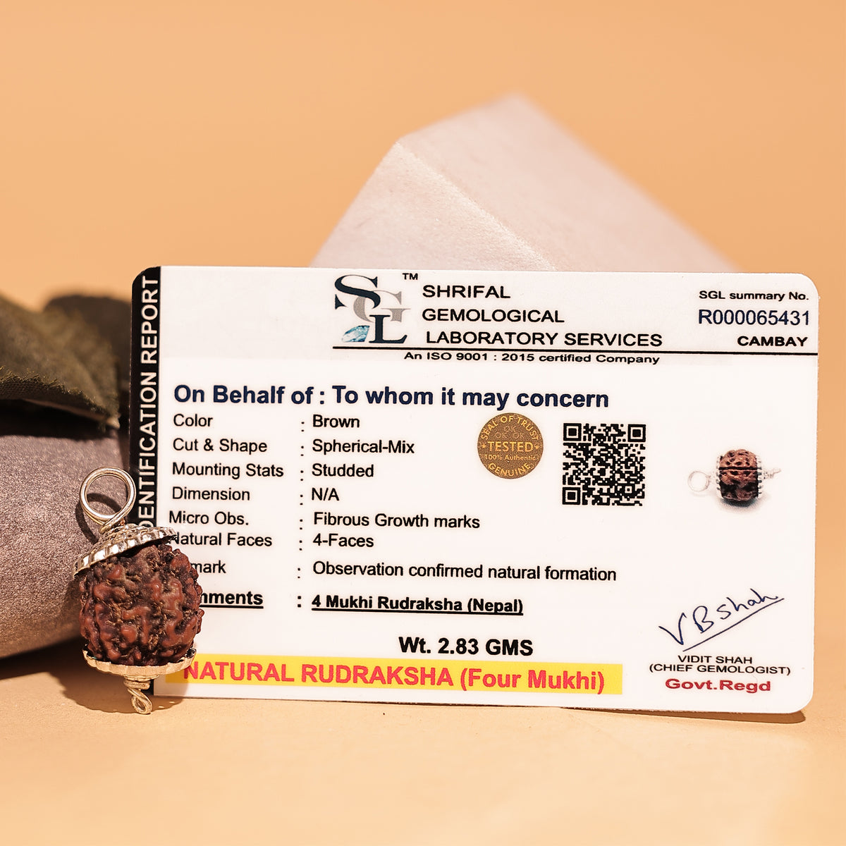 Nepali 4 Mukhi Rudraksha (Four Faced) - Abhimantrit & Certified