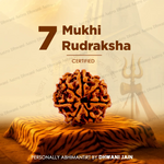 Nepali 7 Mukhi Rudraksha (Seven Faced) for Wealth, Prosperity & Financial Growth