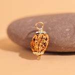 3 Mukhi Rudraksha ( Three Faced) - Abhimantrit & Certified