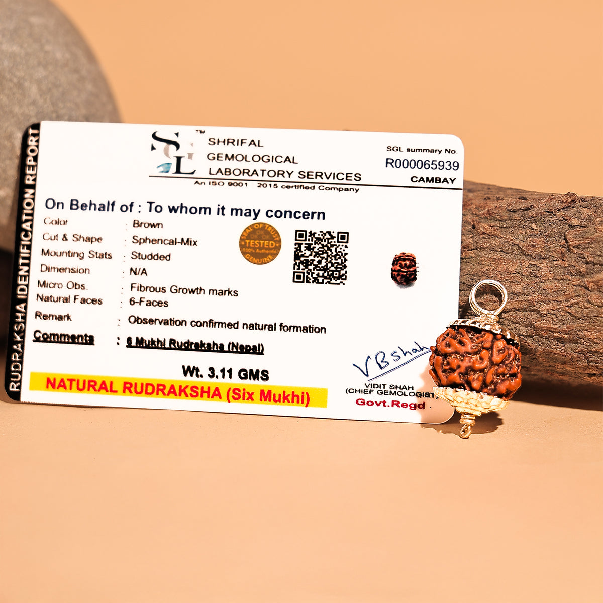 Nepali 6 Mukhi Rudraksha ( Six Faced) - Abhimantrit & Certified