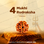 Nepali 4 Mukhi Rudraksha (Four Faced) for Knowledge, Communication & Success