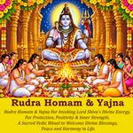Rudra Homam & Yajna: To Remove Health Issues and Ensure Physical and Mental Well-Being