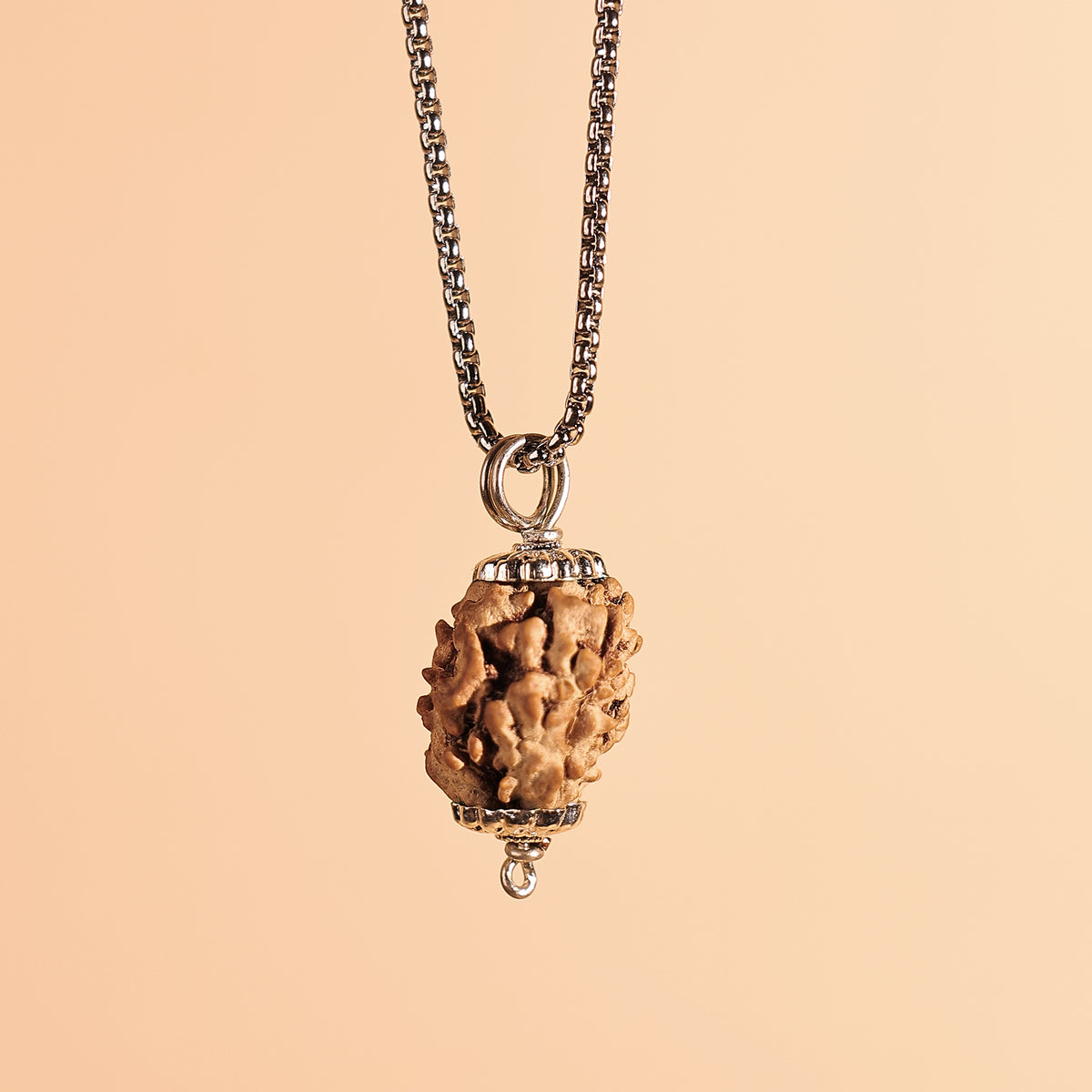 3 Mukhi Rudraksha ( Three Faced) - Abhimantrit & Certified