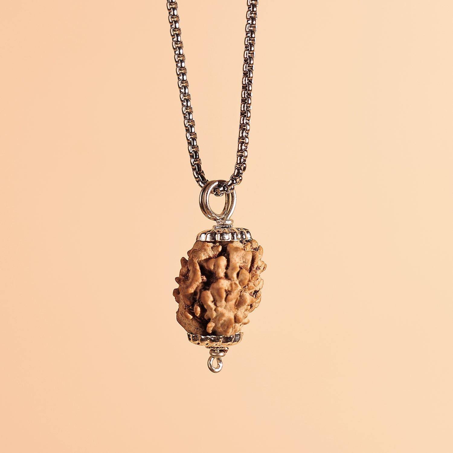 3 Mukhi Rudraksha ( Three Faced) - Abhimantrit & Certified