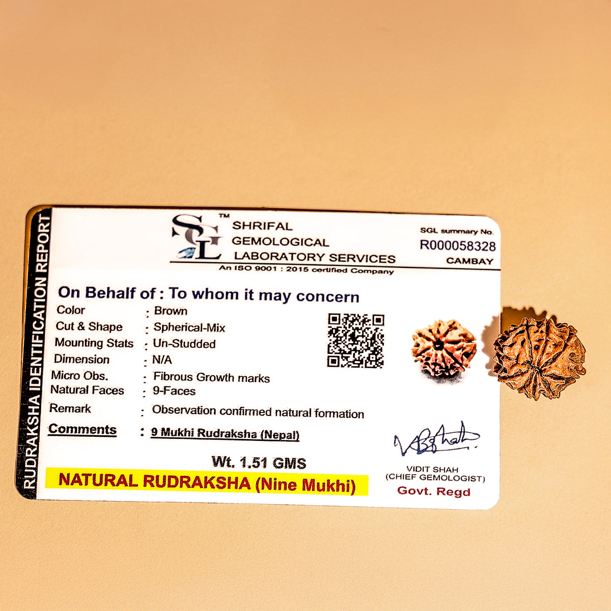 Nepali 9 Mukhi Rudraksha (Nine Faced) - Abhimantrit & Certified