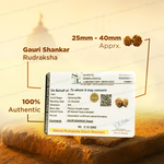 Gauri Shankar Rudraksha for Love, Harmony & Spiritual Growth
