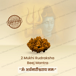Nepali 2 Mukhi Rudraksha (Two Faced) for Love, Harmony & Relationship Balance