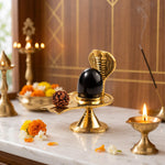 Sheshnag Jalheri Shivling for Home Temple, Abhishek