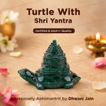 Turtle With Shree Yantra