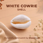 White Cowrie Sell For Prosperit