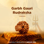 Garbh Gauri Rudraksha on a tiger skin with a blurred background