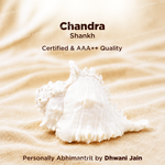 Chandra Shankh For Moon Energy Peace Emotional Balance