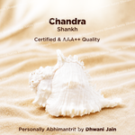 Two white shells on sand with 'Chandra Shankh' text and branding.
