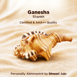 Ganesha Shankh For Obstacle Removal New Beginnings