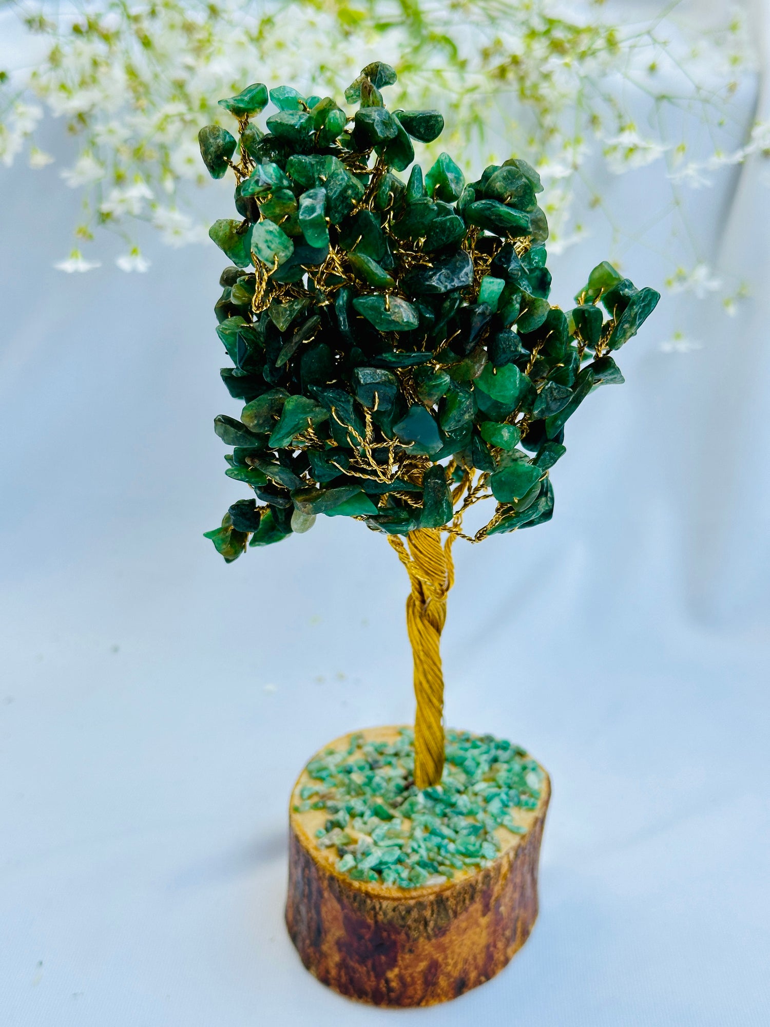 Green Jade Tree - Abhimantrit