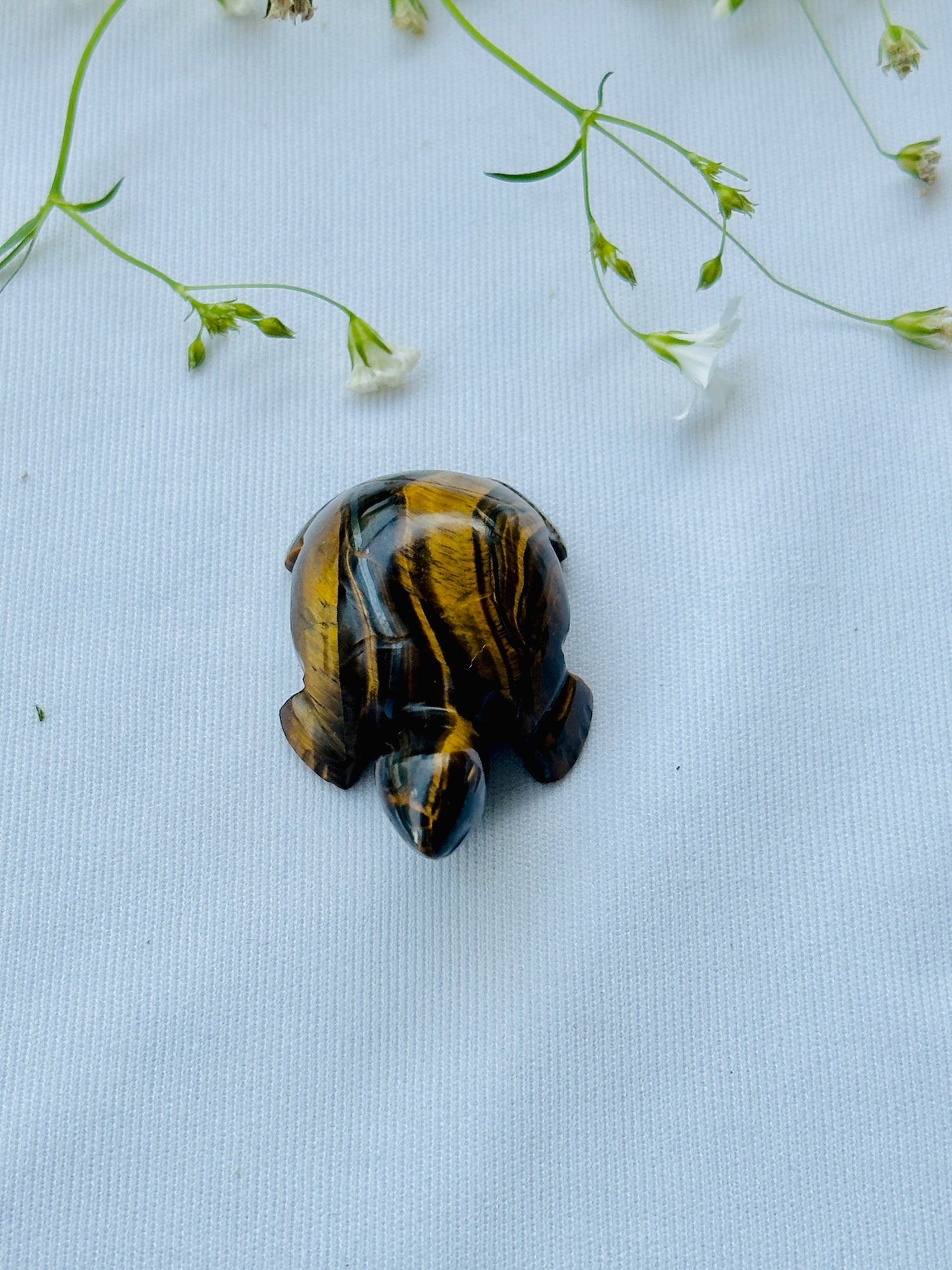 Tiger Eye Stone Turtle - Abhimantrit