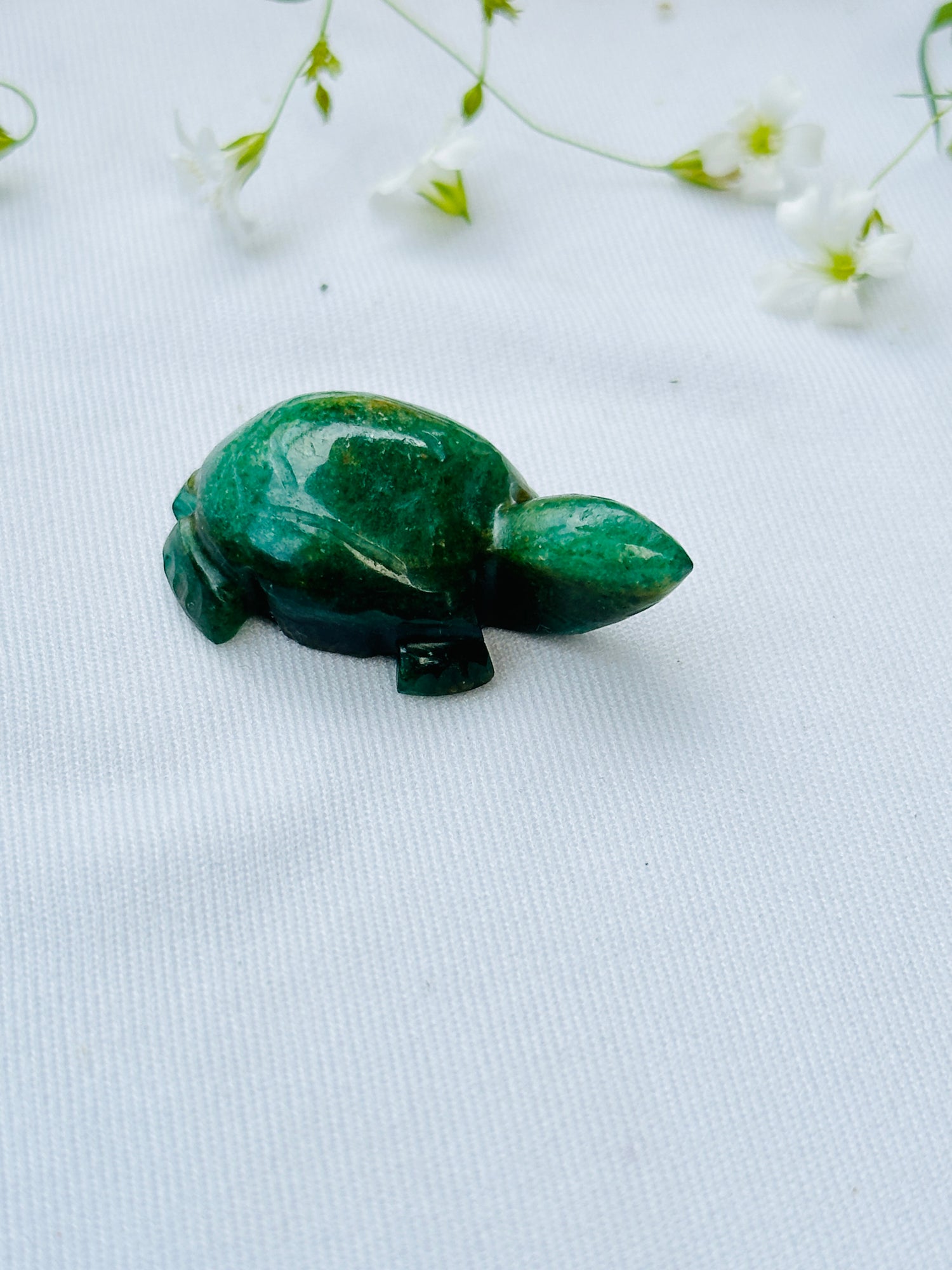 Green Jade Turtle - Abhimantrit