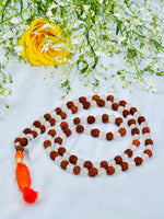 Rudraksha With Clear Quartz Mala
