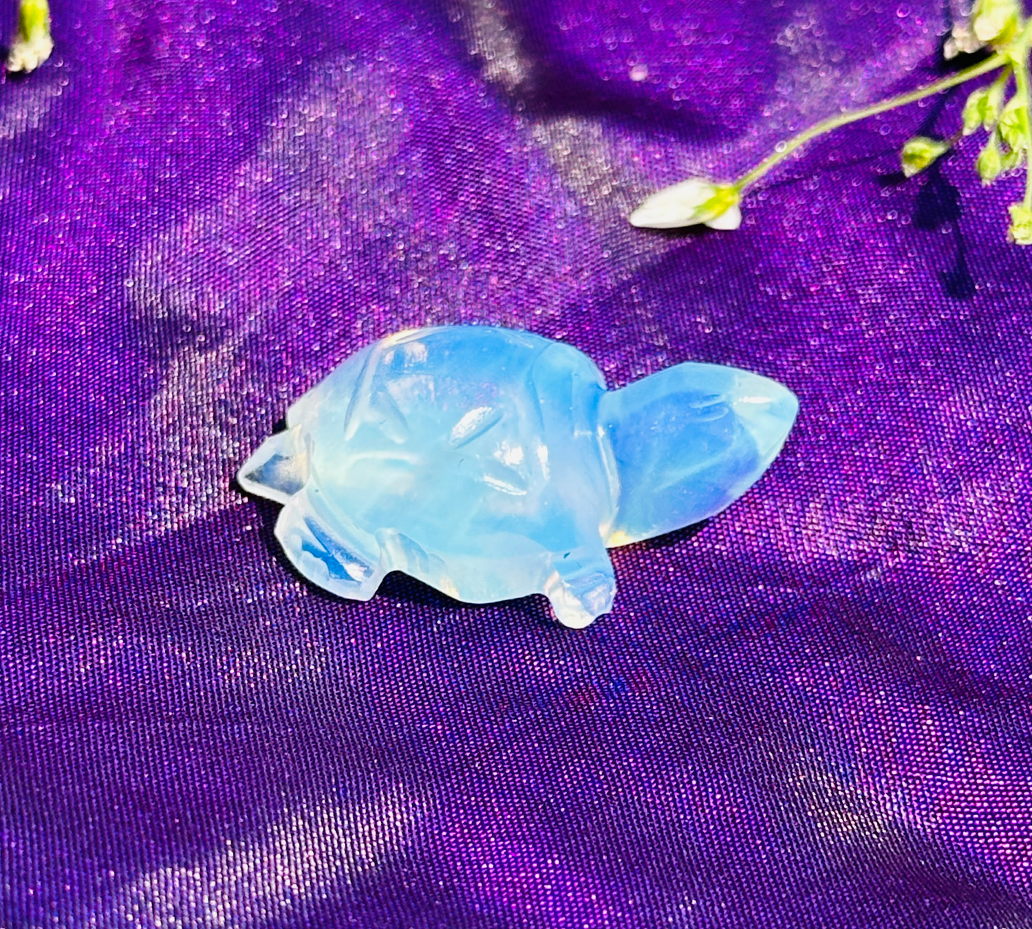 Opalite Carving Turtle - Abhimantrit