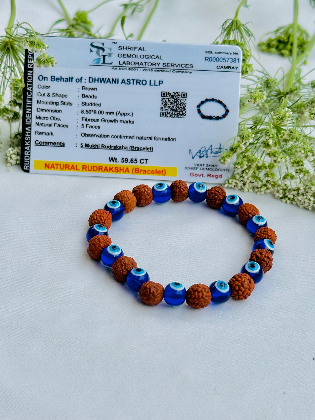 Evil Eye and Negative Energy Protect: Rudraksh & Evil Eye Bracelet  - Abhimantri & Certified