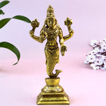 Matsya-idol