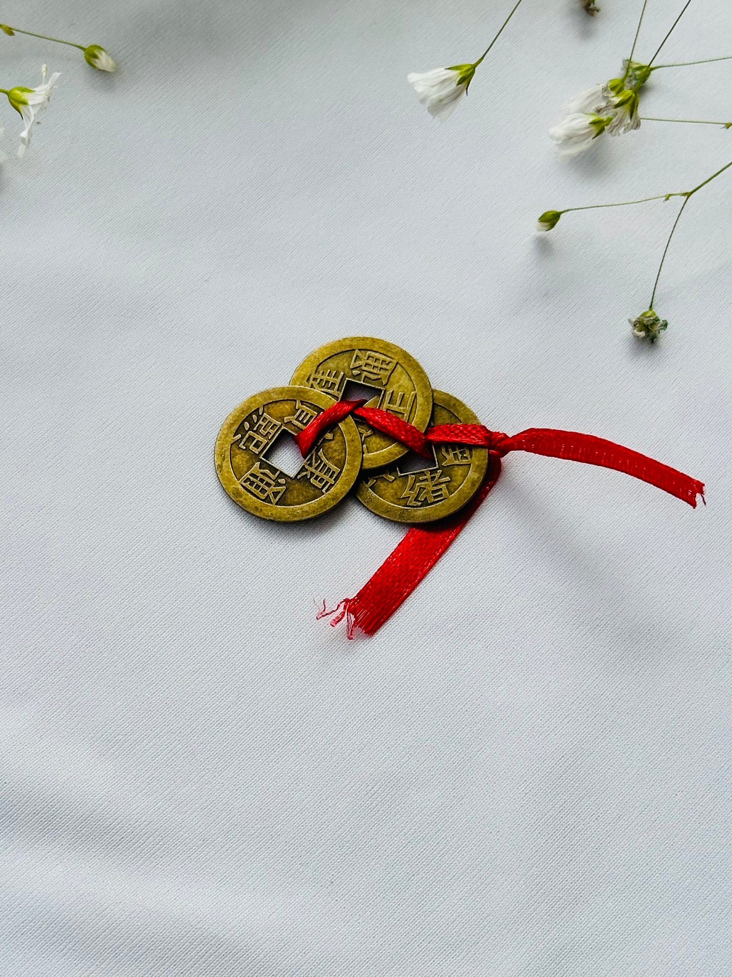 Feng shui Money Magnet coin - Abhimantrit & Certified