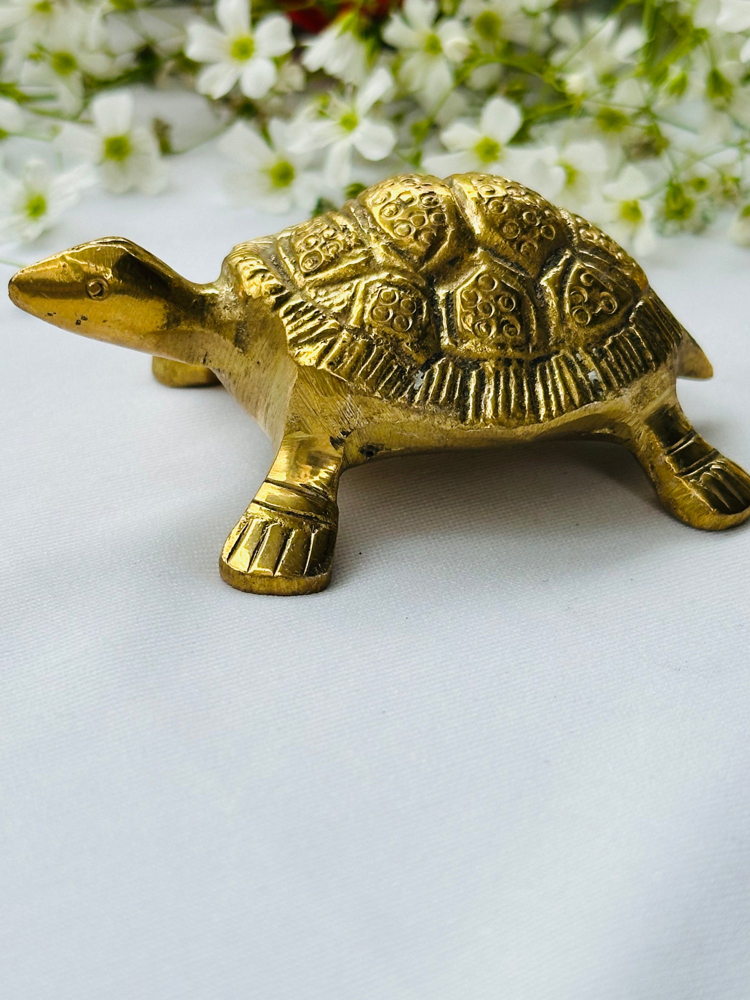 Money Attract Brass Turtle Feng Shui - Abhimantrit & Certified
