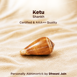 Ketu Shankh For Spiritual Growth Karmic Protection