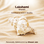 Lakshmi Shankh For Abundance Fortune Sacred Wealth Energy