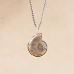 Ammonite Fossil Pendant For Prosperity Protection Spiritual Growth