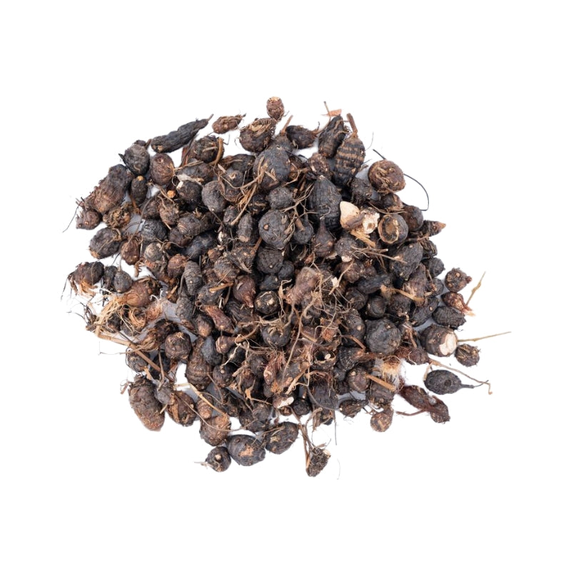 Nagarmotha Root - Jad
