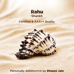 Rahu Shankh For Protection From Negativity Clarity
