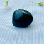 Shaligram Stone - Abhimantrit