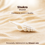 Shukra Shankh For Venus Energy Love Prosperity