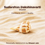 Sudarshan Dakshinavarti Shankh For Prosperity Protection