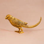 Brass Parrot