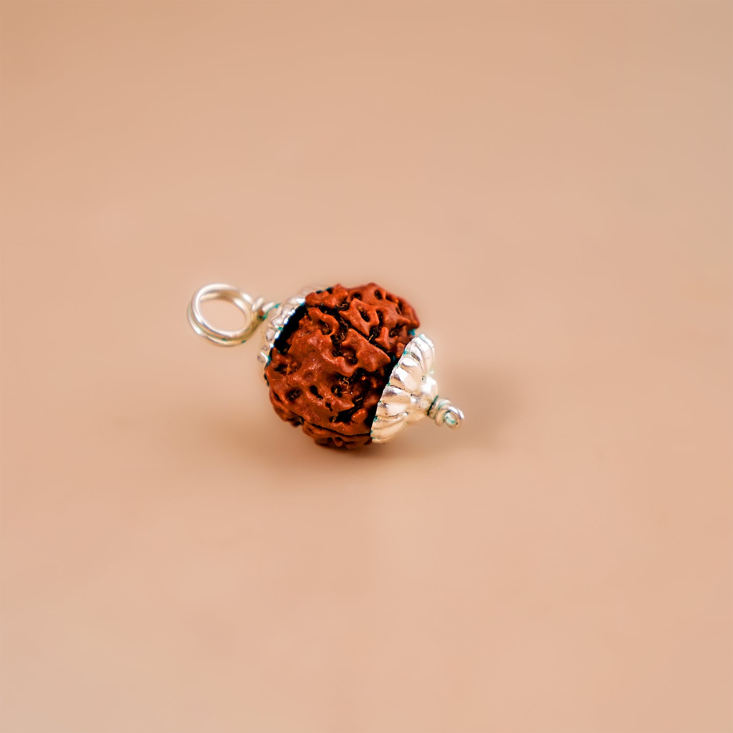 Ganesh Mukhi Rudraksha - Abhimantrit & Certified