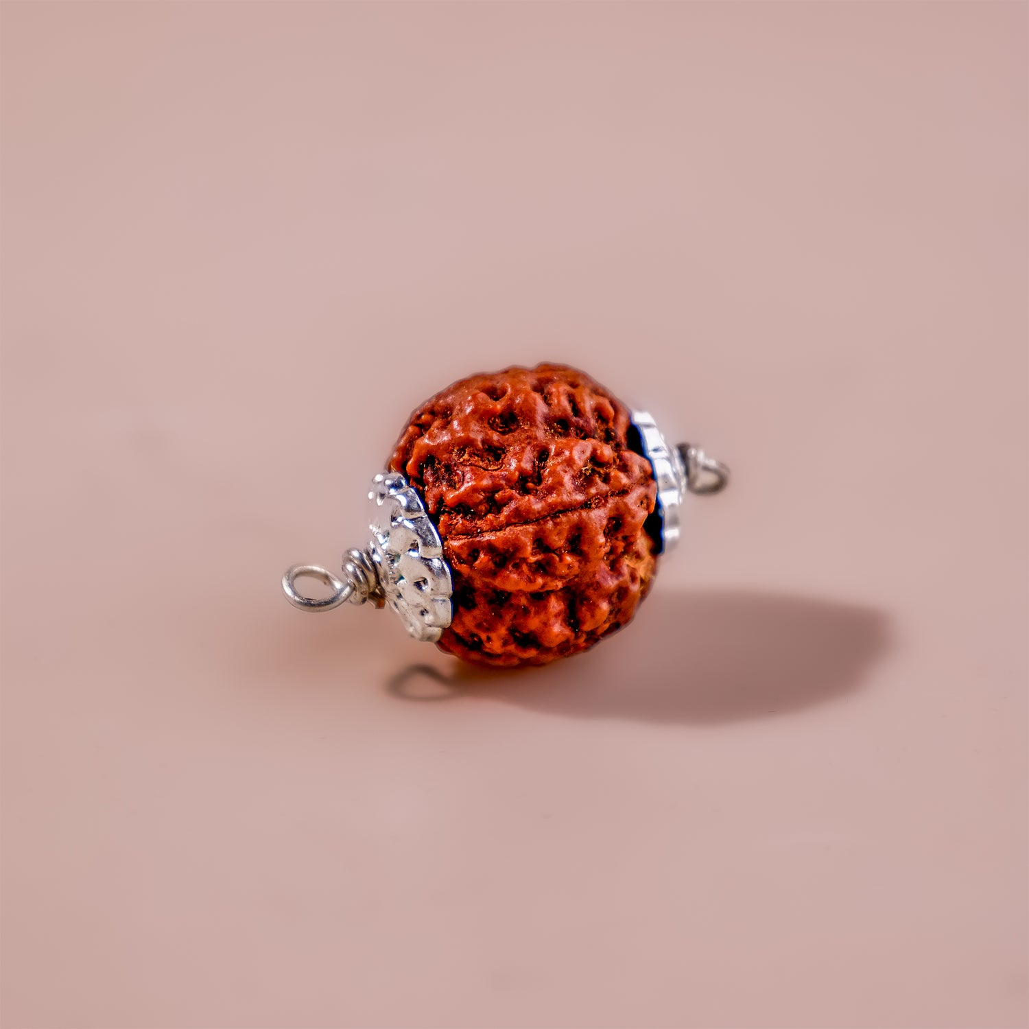 5 Mukhi Rudraksha (Five Faced) - Abhimantrit & Certified