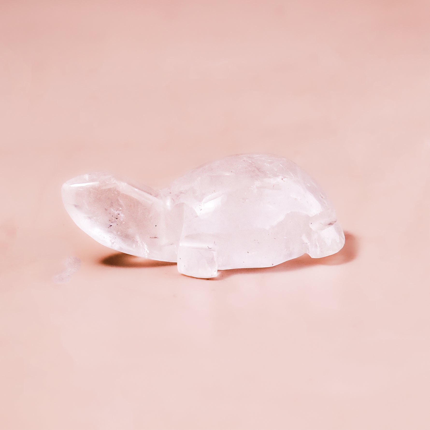 Rose Quartz Small Turtle