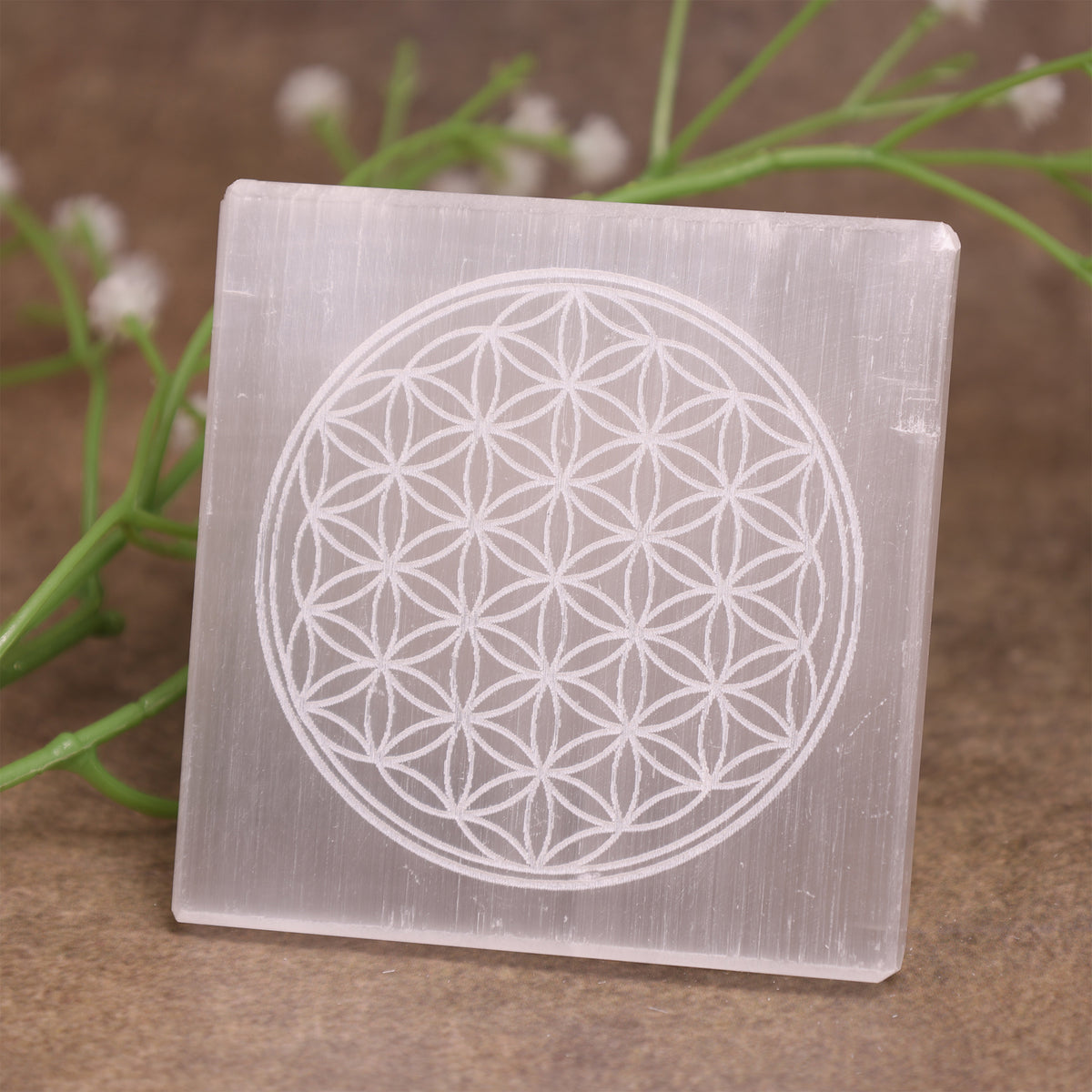 Flower of Life Selenite Plate Square