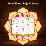 Mool Shanti Puja & Yajna: To Alleviate Effects of Being Born Under Certain Nakshatras (Mool Nakshatra)