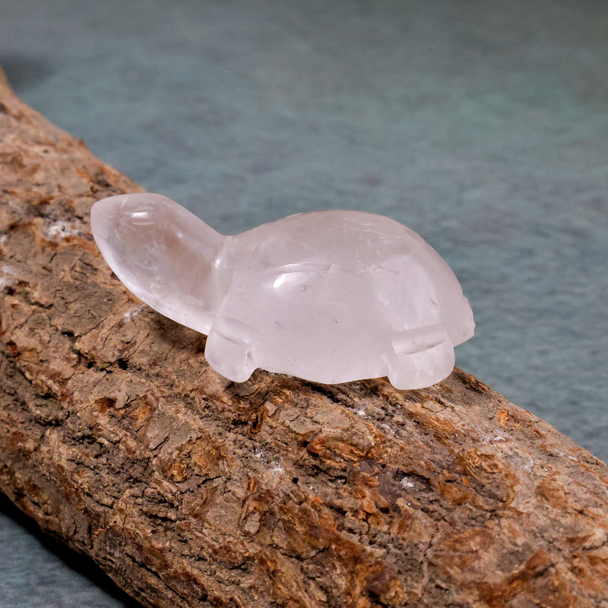 Rose Quartz Small Turtle