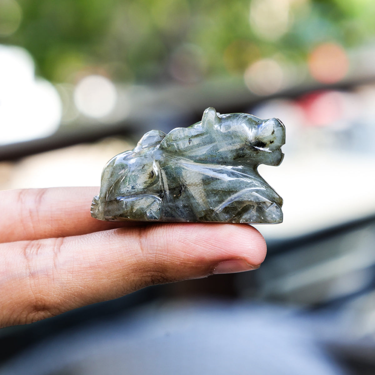 Labradorite Nandi (H-2.5cm, W-4cm) - Abhimantrit
