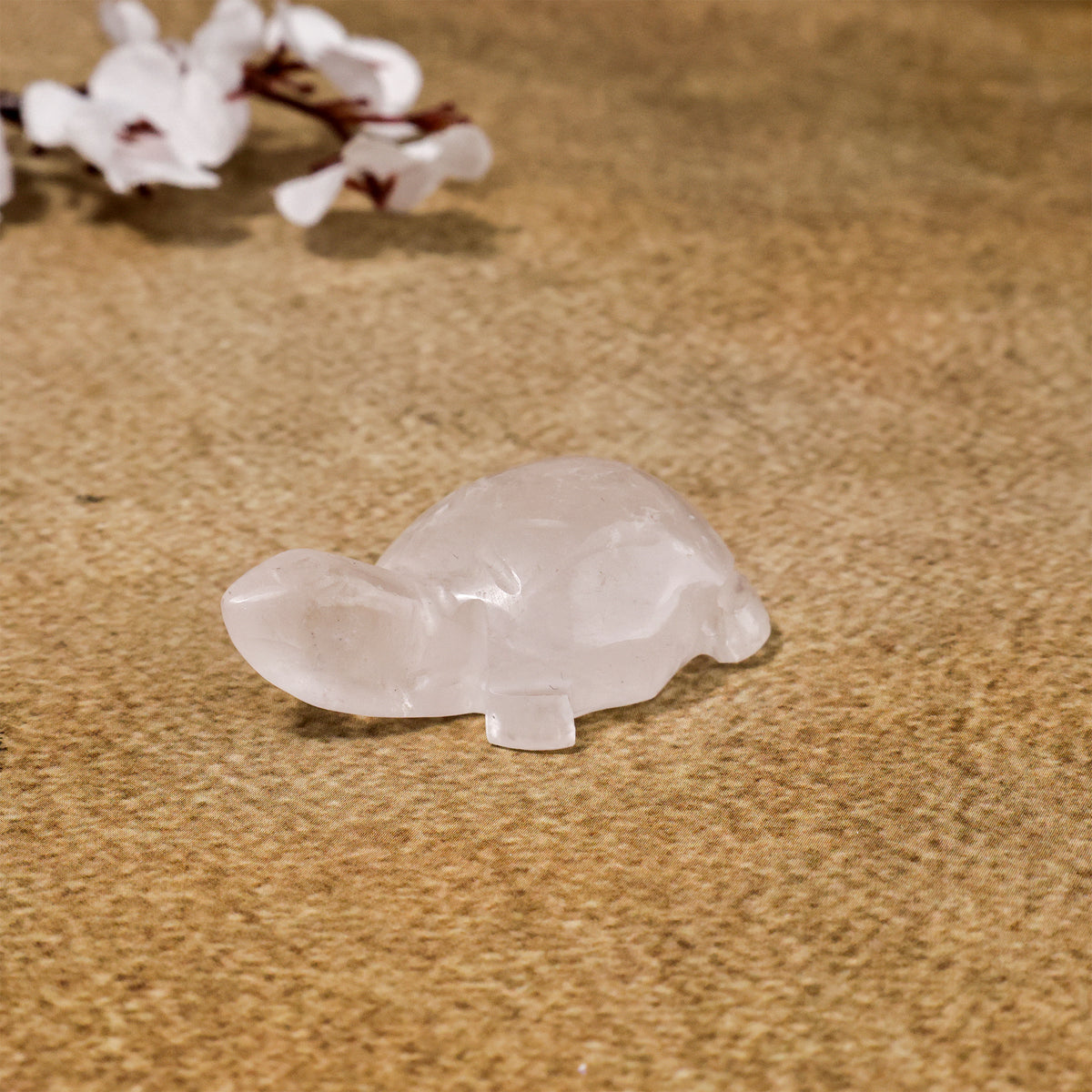 Rose Quartz Small Turtle