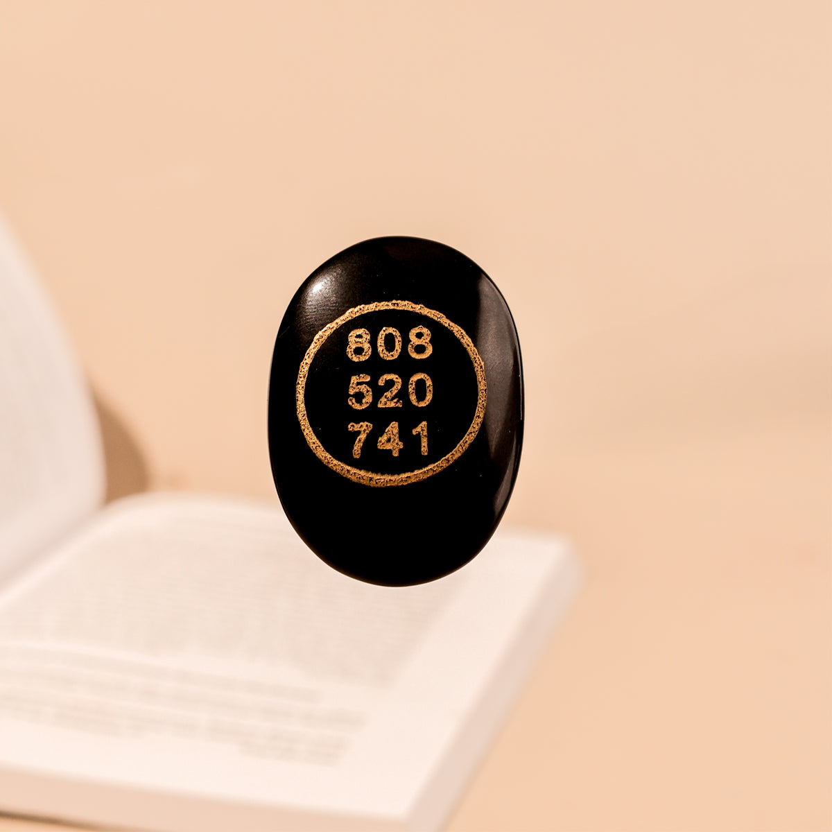 Black Tourmaline Zibu Coin