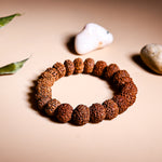 7 Mukhi Rudraksha Bracelet (Seven Faced) - Abhimantrit & Certified